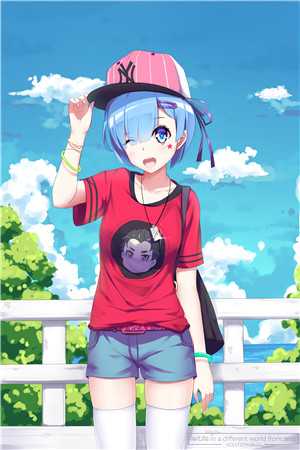 最强傻婿