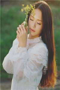 花落再开，又逢一年春