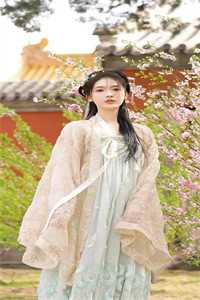 太子换娶宫女，我登基为帝
