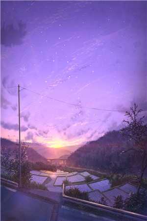 梅花凋零