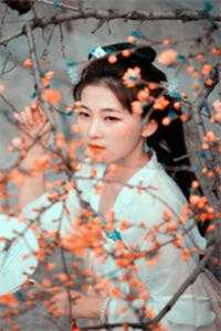 约定如许
